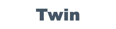 Логотип Twin